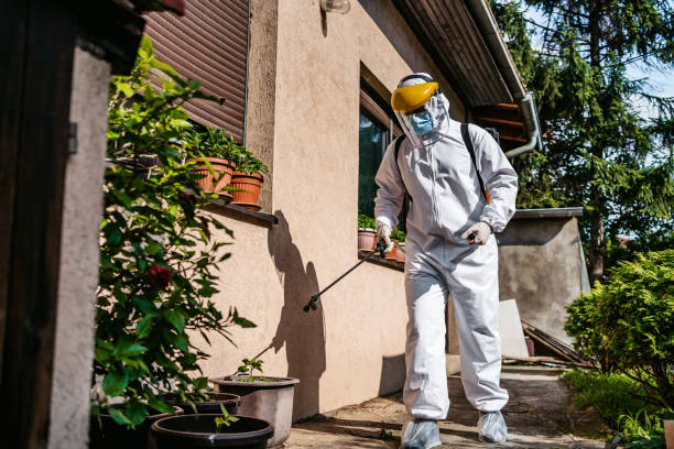 Best Pest Inspection Near Me  in Hrison, AR