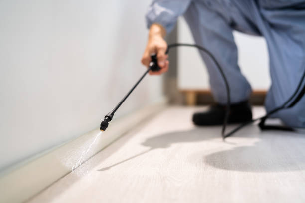 Pest Control Cost in Harrison, AR