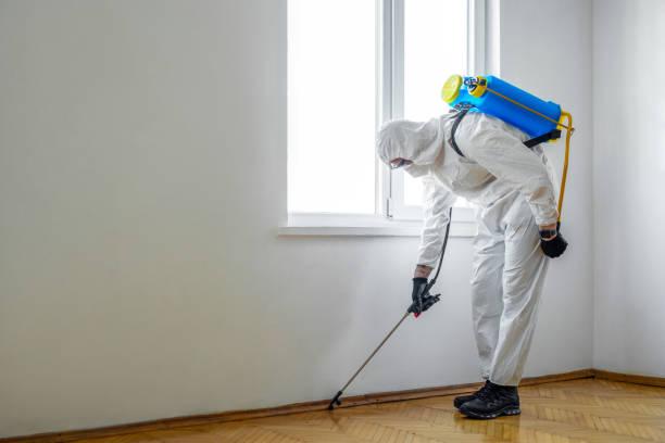 Best Affordable Pest Control Services  in Hrison, AR