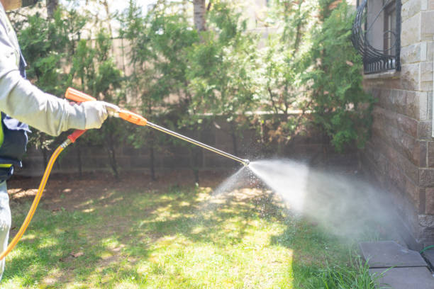 Best Pest Control Near Me in Harrison, AR