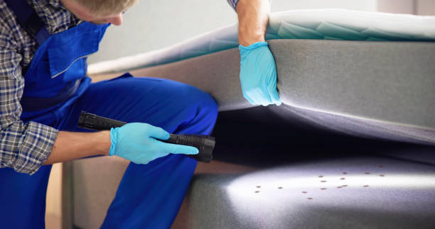 Best Commercial Pest Control Services  in Hrison, AR