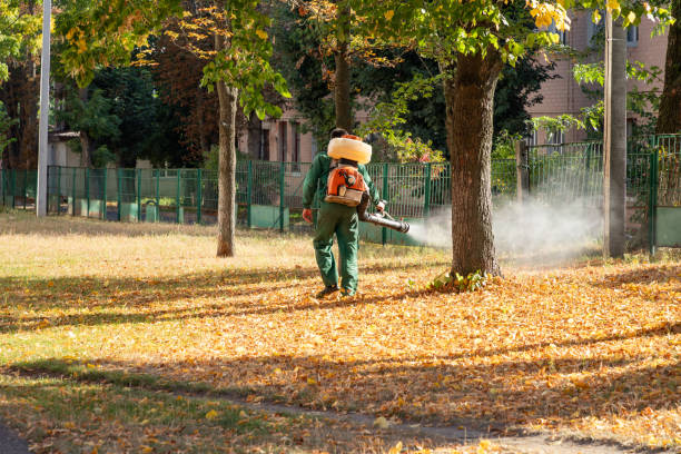 Best Exterminator Services  in Hrison, AR