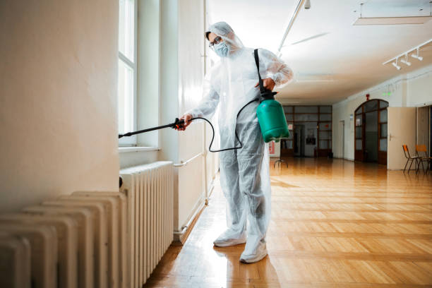 Best Emergency Pest Control  in Hrison, AR