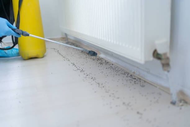 Best Pest Control for Restaurants  in Hrison, AR